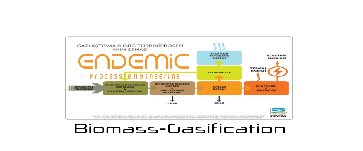 Endemik Bimagas Gazlaştırma Prosesi